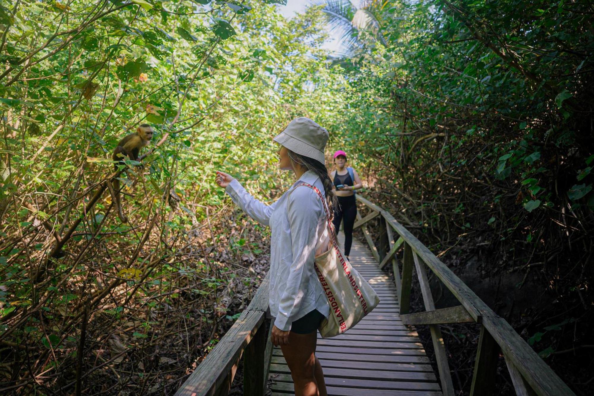 Ecohotel Yachay Tayrona Dentro Del Parque Tayrona Ел Заино Екстериор снимка