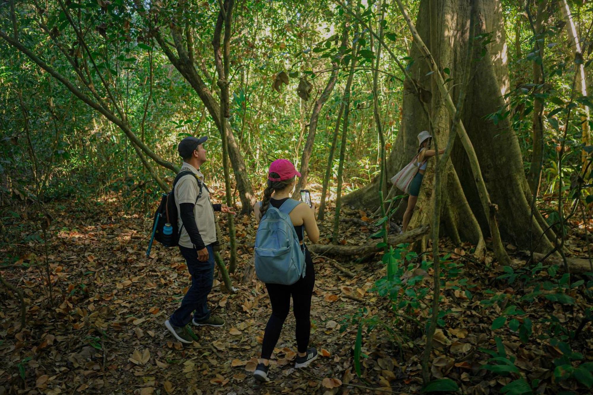 Ecohotel Yachay Tayrona Dentro Del Parque Tayrona Ел Заино Екстериор снимка