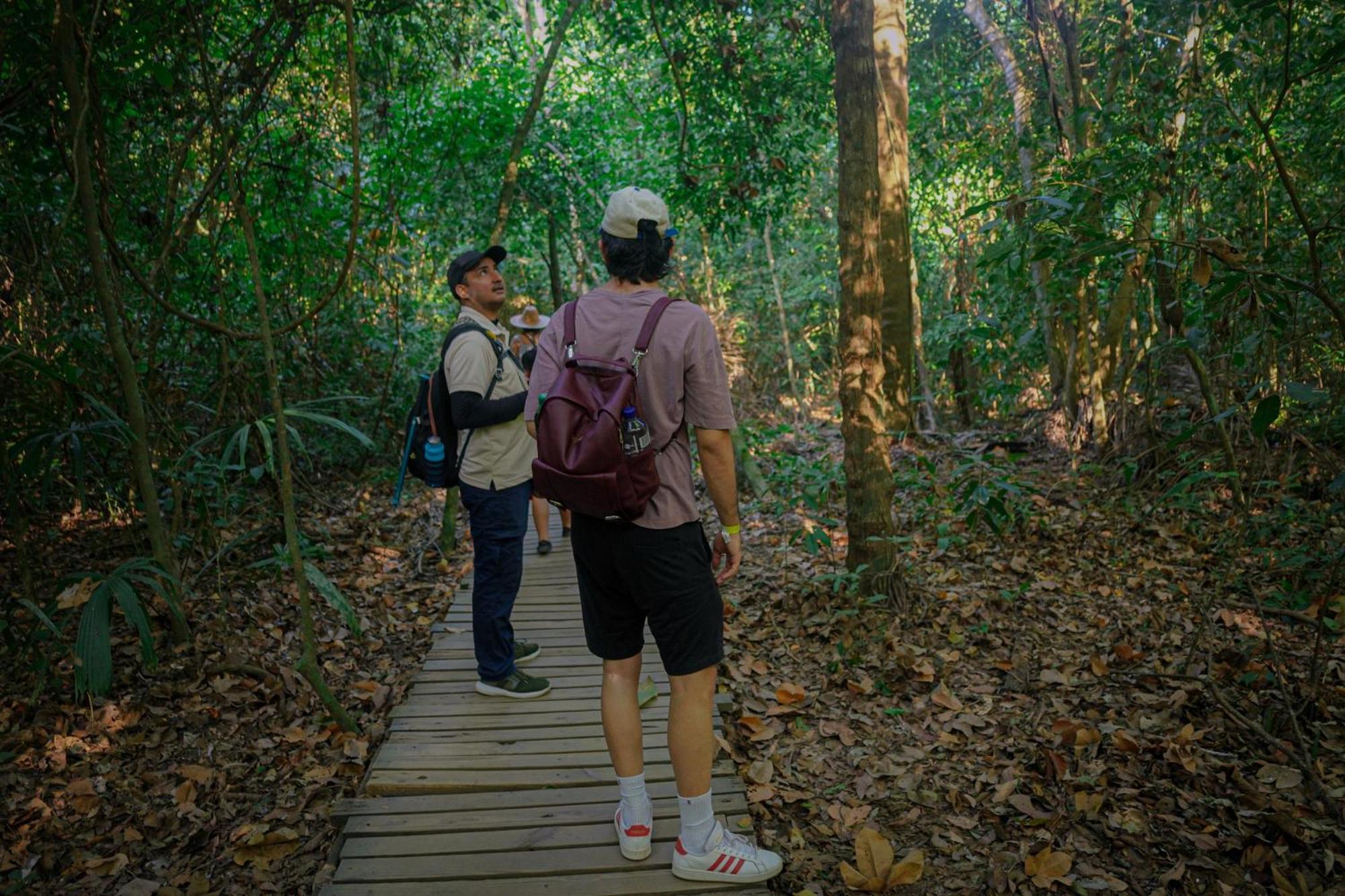 Ecohotel Yachay Tayrona Dentro Del Parque Tayrona Ел Заино Екстериор снимка