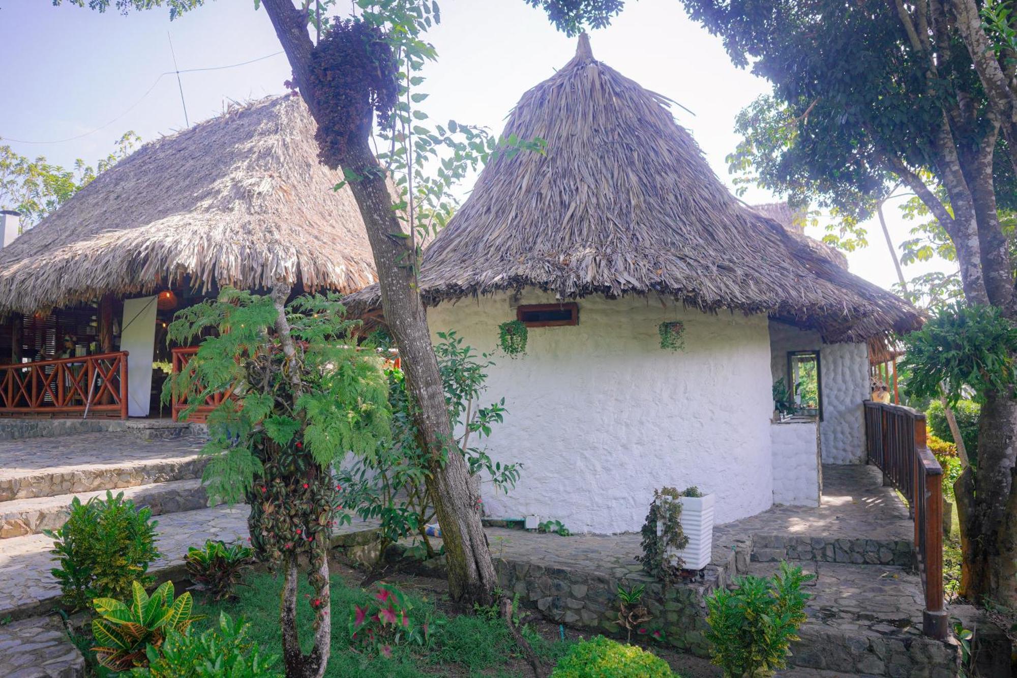 Ecohotel Yachay Tayrona Dentro Del Parque Tayrona Ел Заино Екстериор снимка