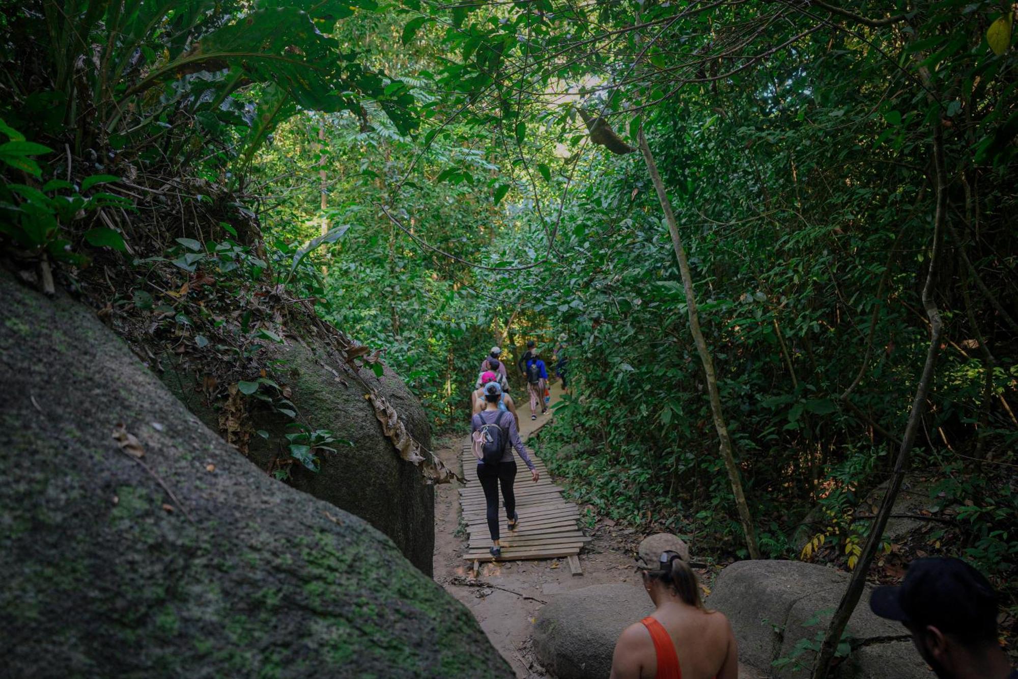 Ecohotel Yachay Tayrona Dentro Del Parque Tayrona Ел Заино Екстериор снимка