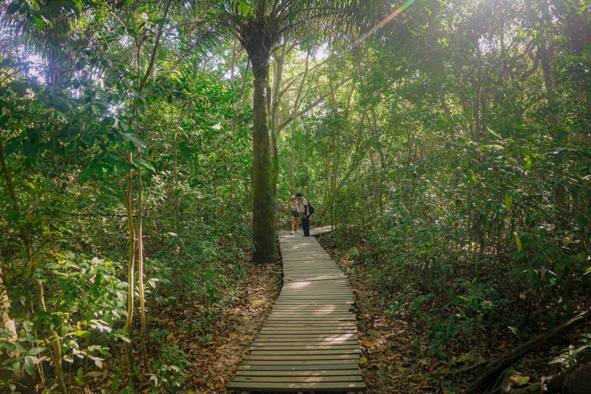 Ecohotel Yachay Tayrona Dentro Del Parque Tayrona Ел Заино Екстериор снимка