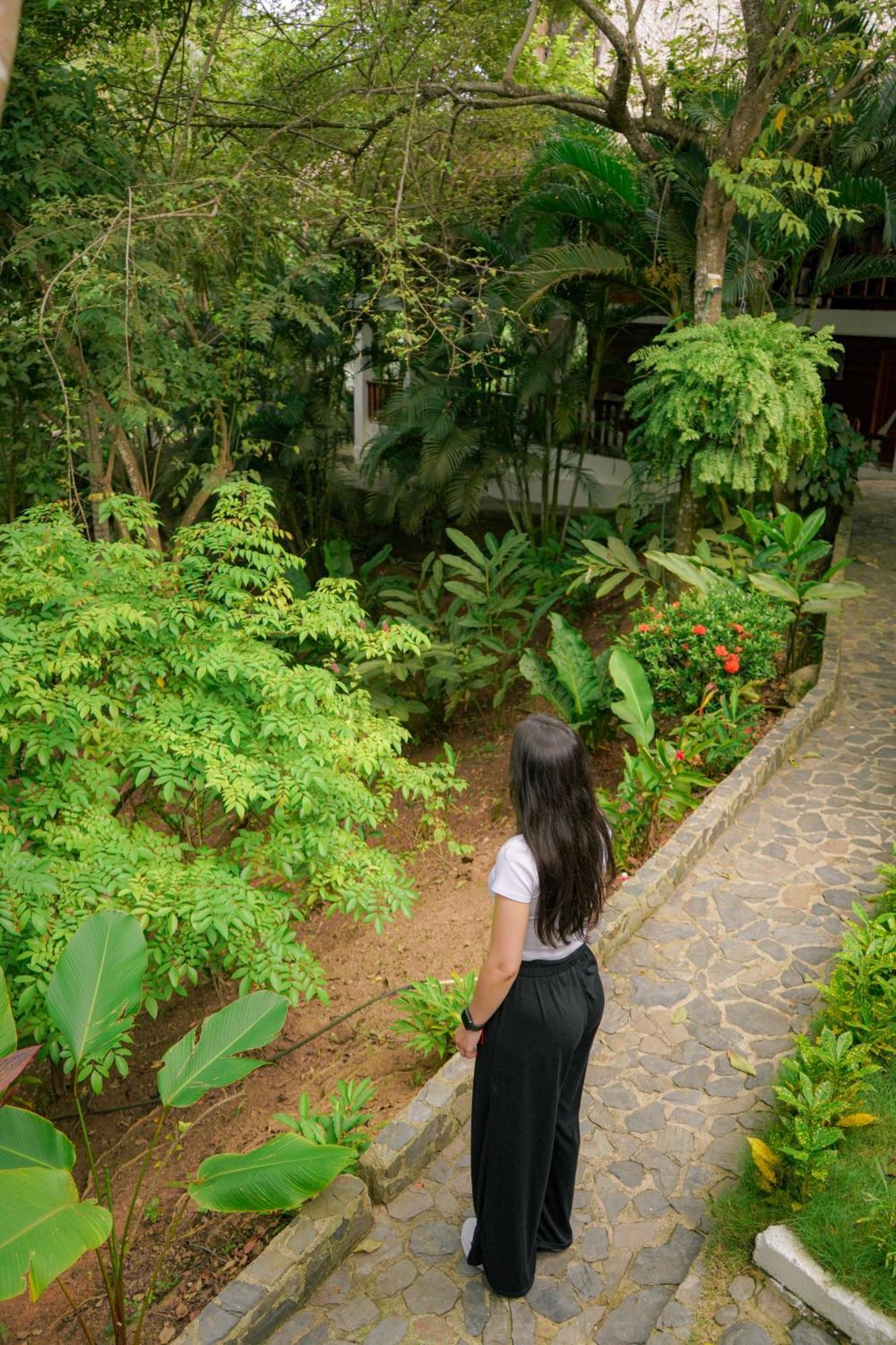 Ecohotel Yachay Tayrona Dentro Del Parque Tayrona Ел Заино Екстериор снимка