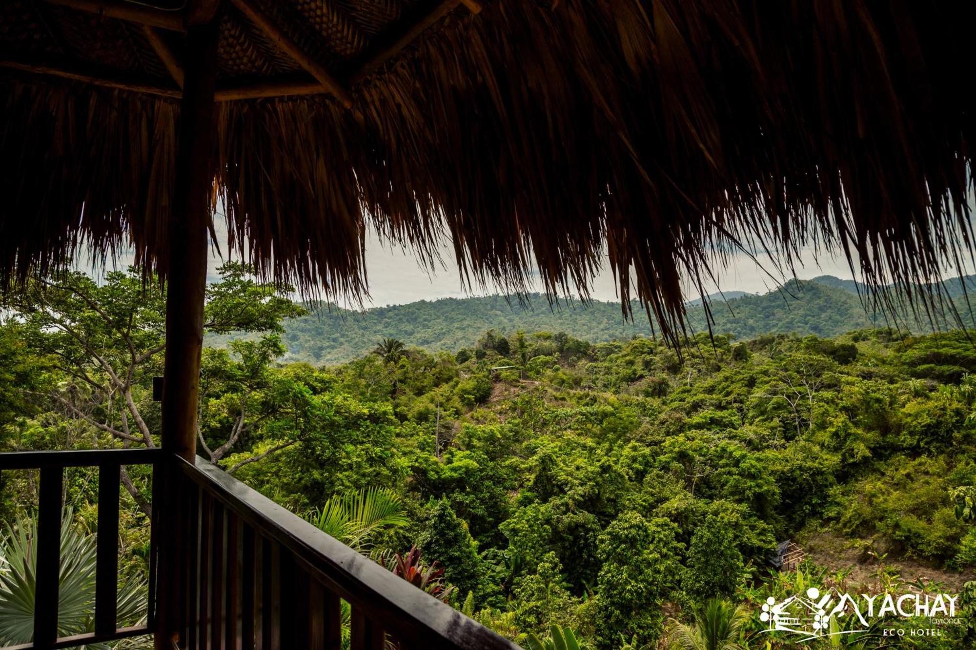 Ecohotel Yachay Tayrona Dentro Del Parque Tayrona Ел Заино Екстериор снимка