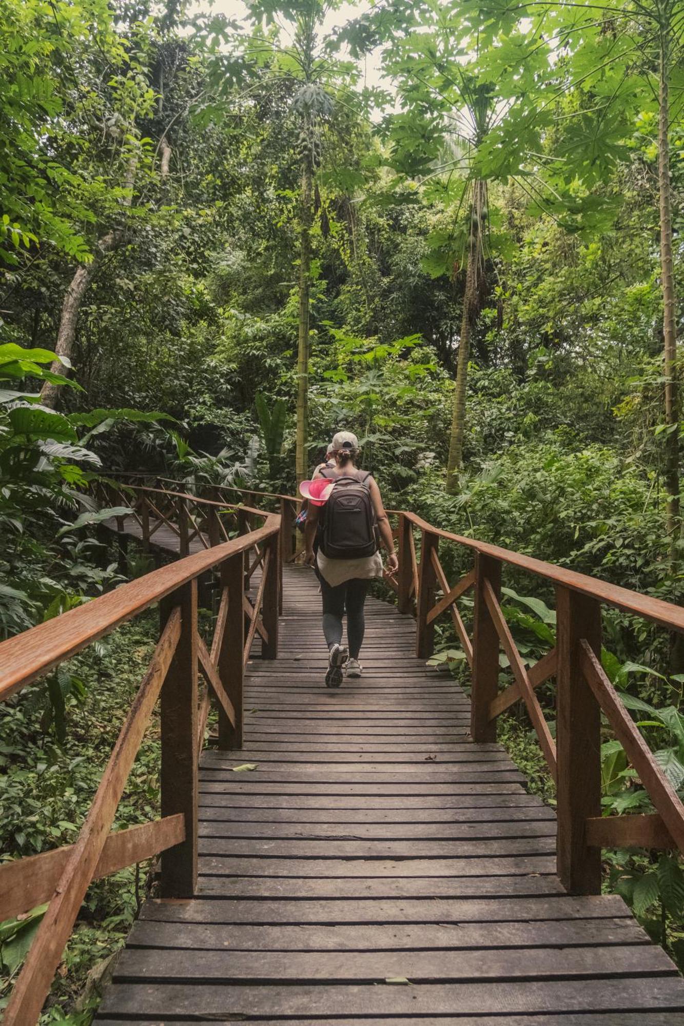 Ecohotel Yachay Tayrona Dentro Del Parque Tayrona Ел Заино Екстериор снимка
