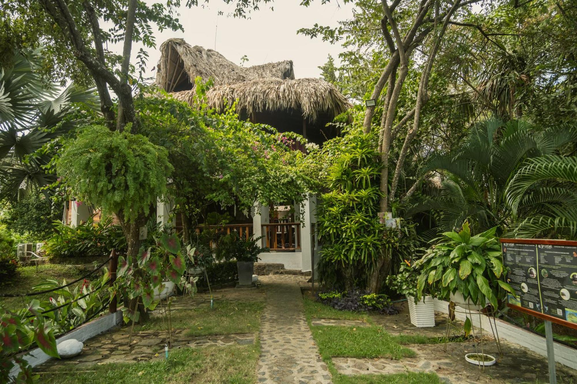 Ecohotel Yachay Tayrona Dentro Del Parque Tayrona Ел Заино Екстериор снимка